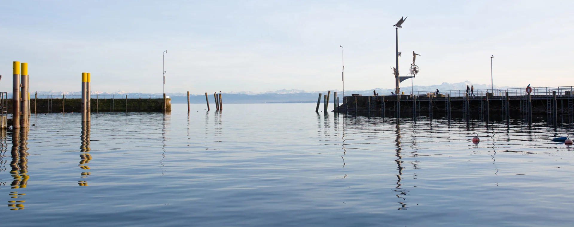 Webdesign & Webentwicklung Region Konstanz am Bodensee und Ravensburg Oberschwaben